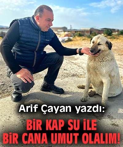 Reklam