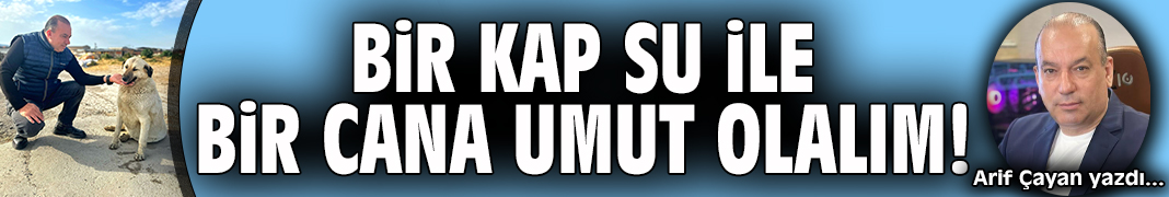 Reklam