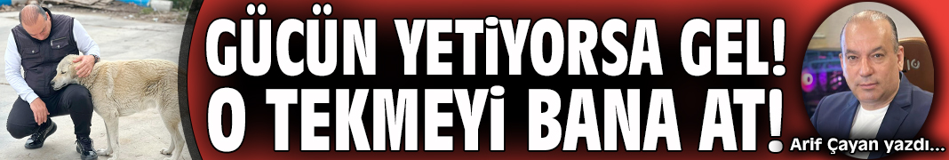Reklam