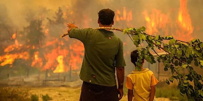 Orman yangınlarından acı kareler