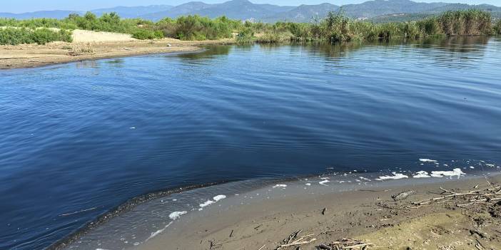 Küçük Menderes'te büyük kirlilik