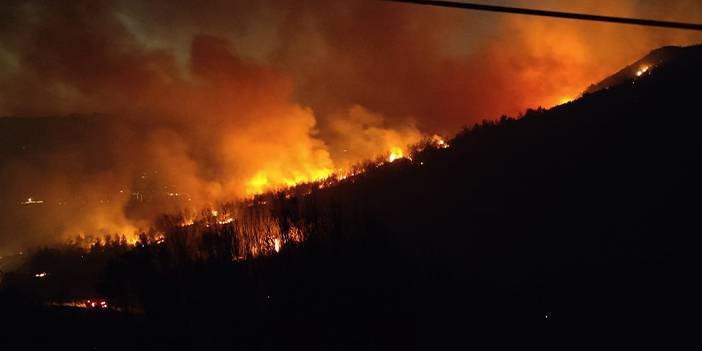 Selçuk'taki yangın Kuşadası'na sıçradı