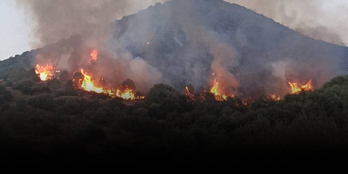 İzmir'in ciğerleri yandı!