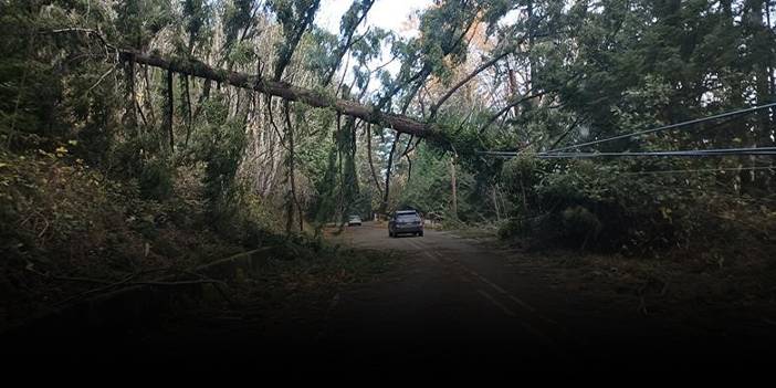 ABD'yi 'Bomba siklonu' vurdu!