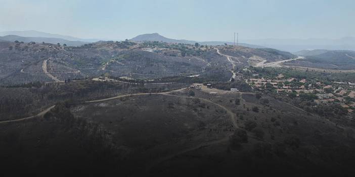 İzmir'deki yangınlarda 10 bin hektarlık alan kül oldu