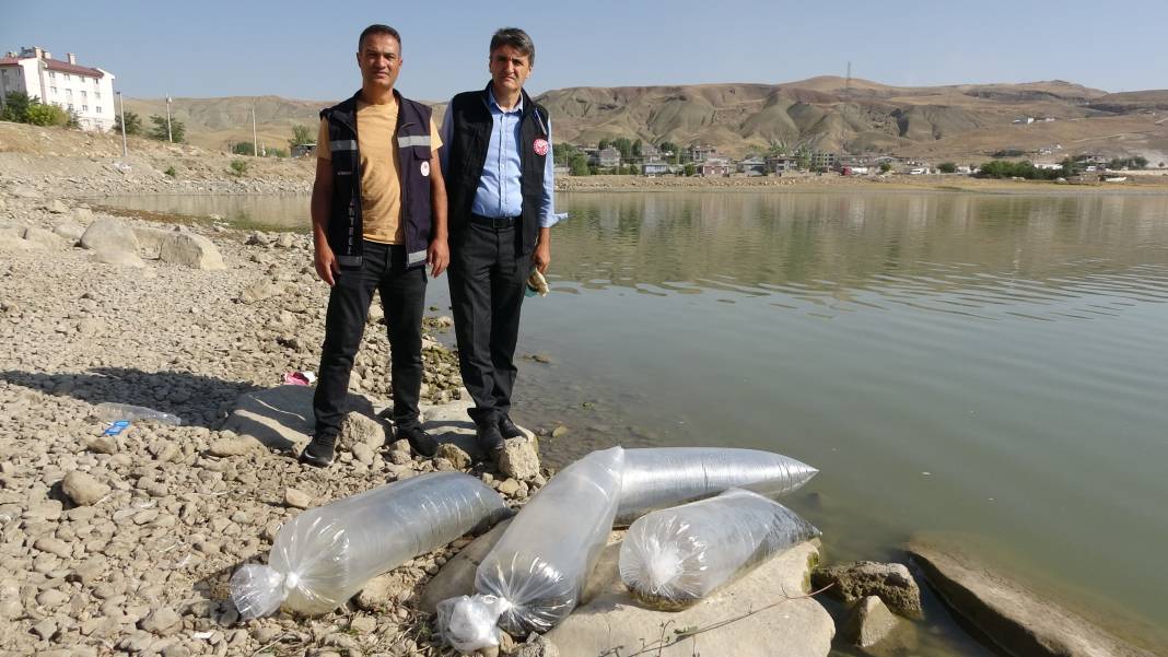 Göllere 450 bin yavru sazan bırakıldı 1