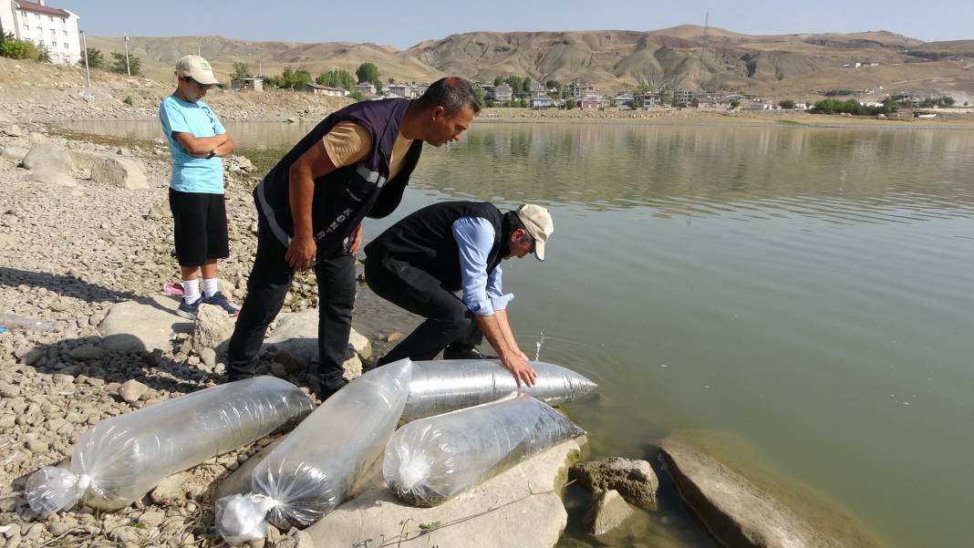 Göllere 450 bin yavru sazan bırakıldı 6