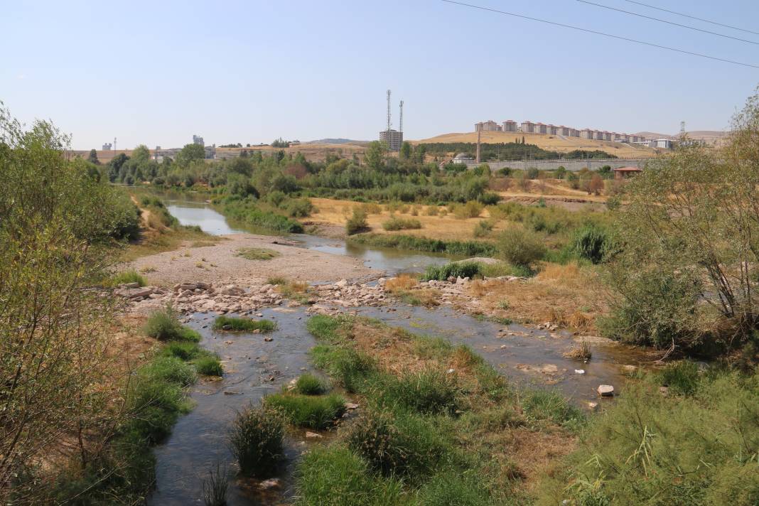 Türkiye'nin en uzun nehri alarm veriyor! 1