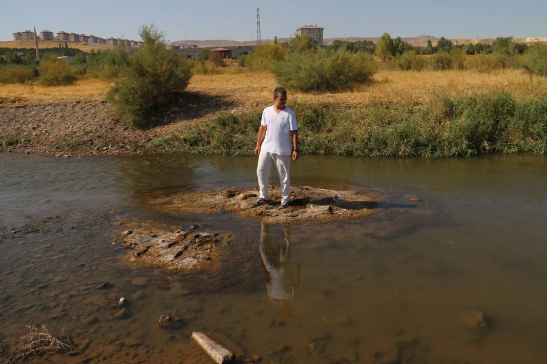 Türkiye'nin en uzun nehri alarm veriyor! 6