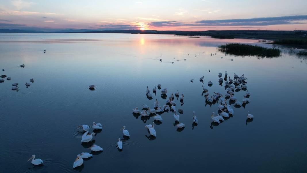 Göçmen kuşlardan göz kamaştıran doğa şöleni 12
