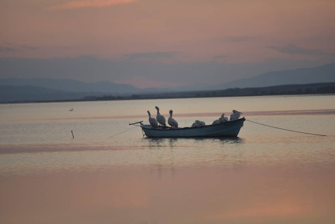 Göçmen kuşlardan göz kamaştıran doğa şöleni 9