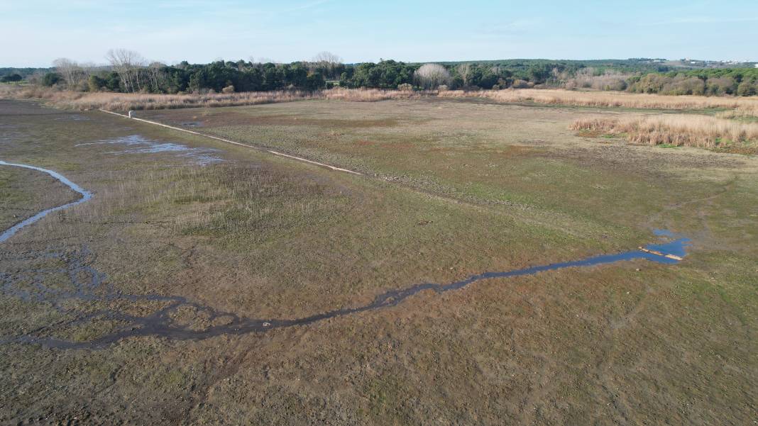 Kuraklık su kanallarını ve iskeleleri gün yüzüne çıkardı 7