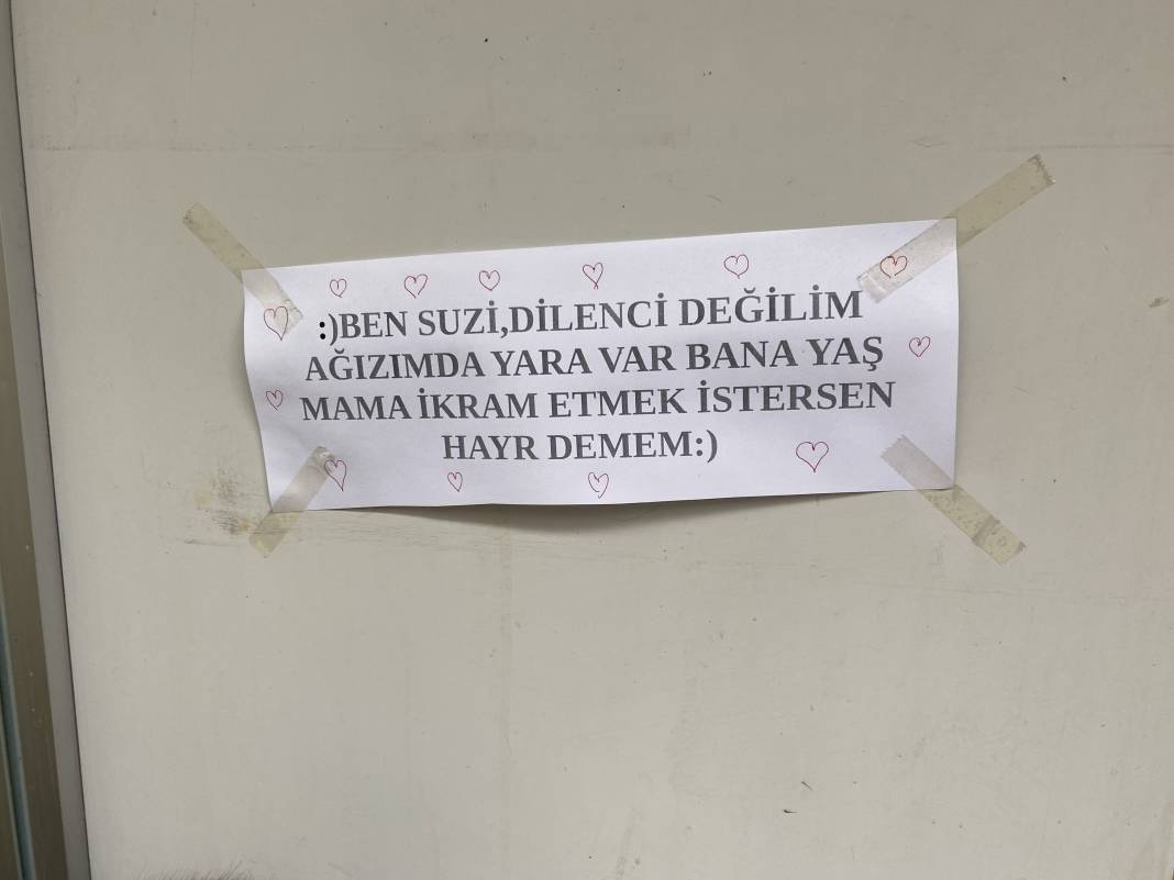 Hayvansever esnaftan gülümseten not 2