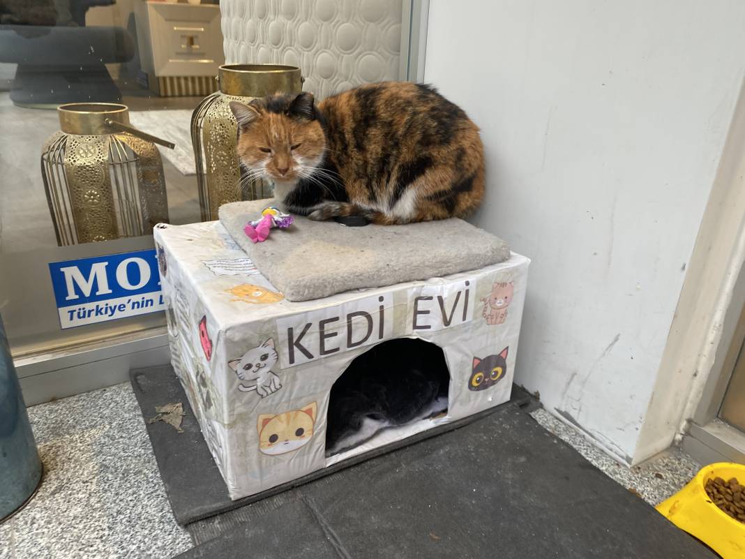 Hayvansever esnaftan gülümseten not 3