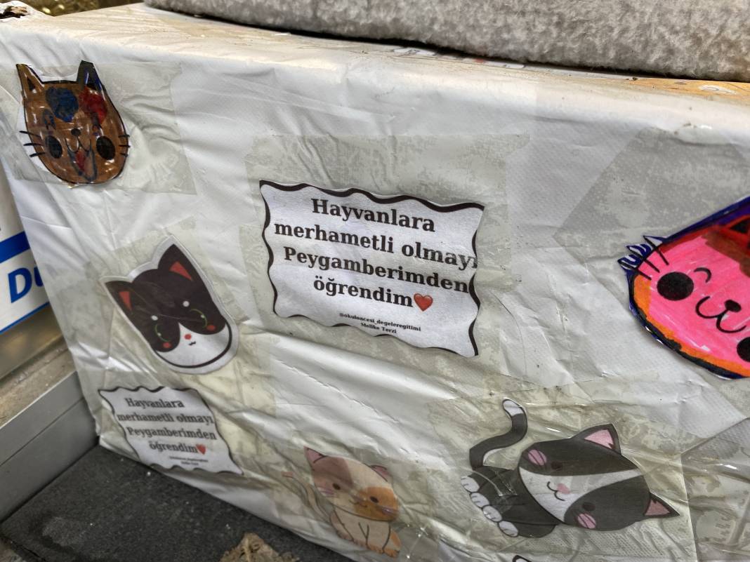 Hayvansever esnaftan gülümseten not 5