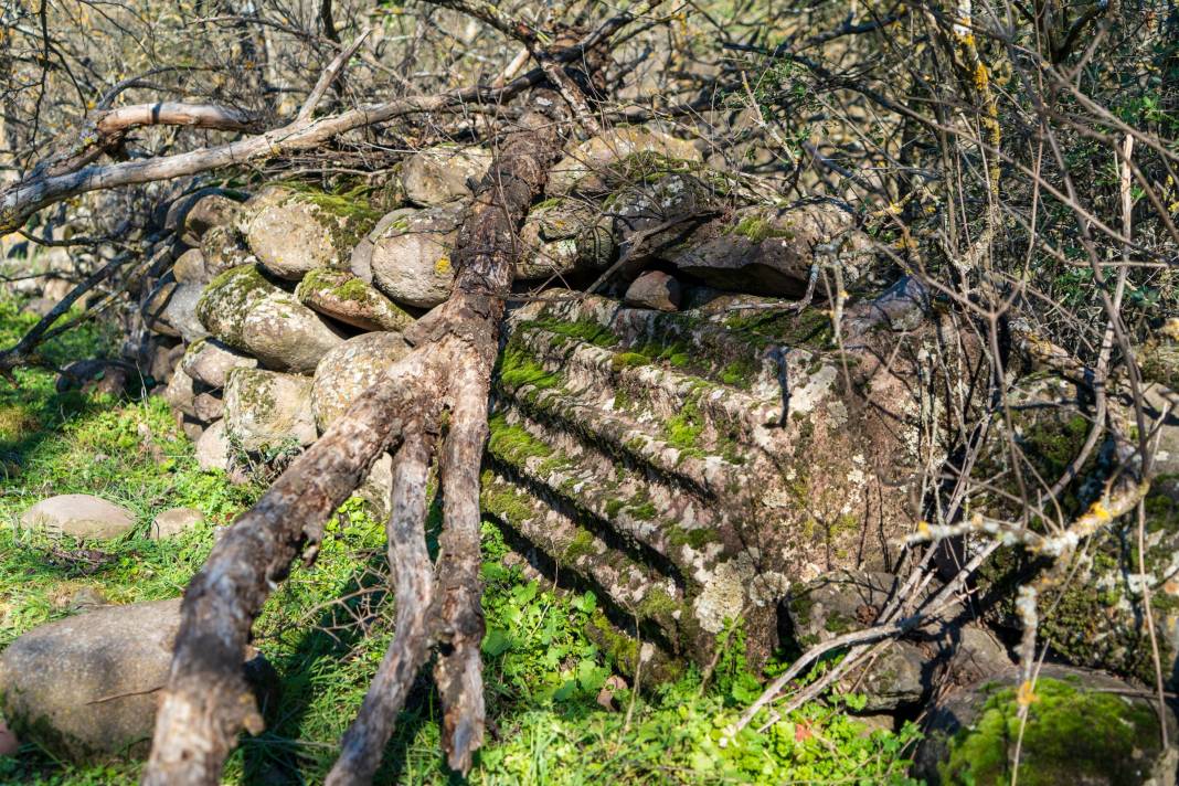 Antik Miras Geleceğe Taşınmayı Bekliyor! 8