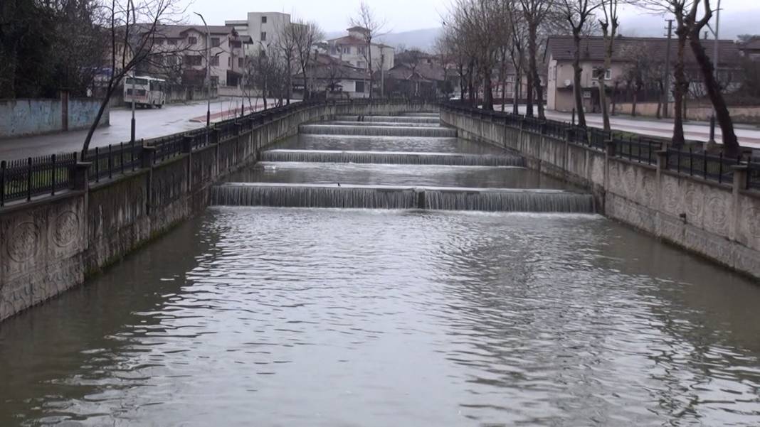 Korkutan görüntü: Yüzeye çıkan balıklar ölüyor! 4