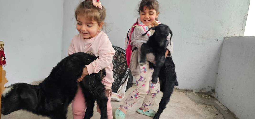 Balkondaki davetsiz misafirler şaşkına çevirdi! 2