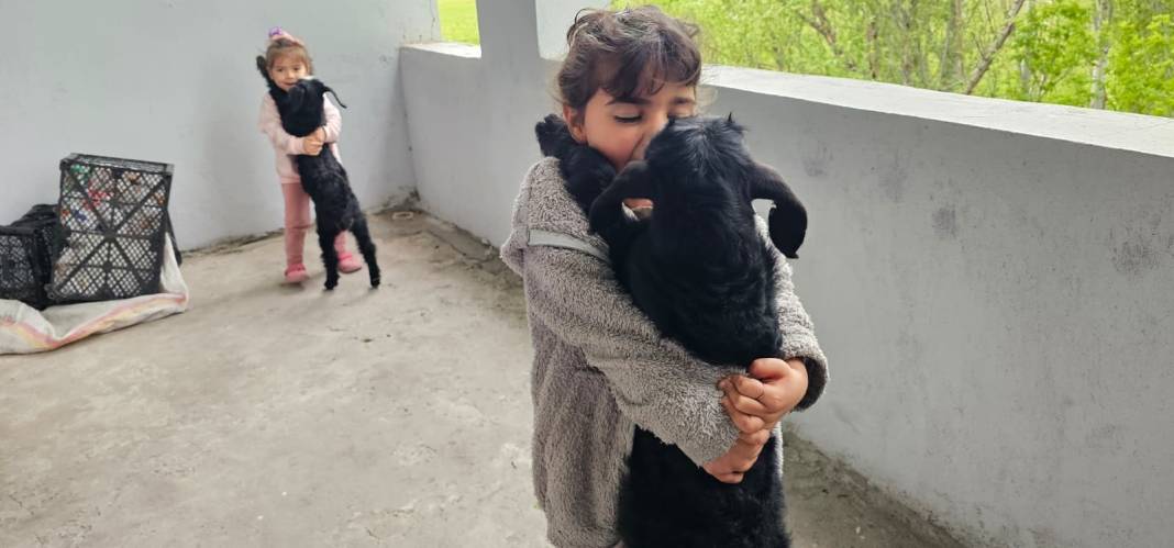 Balkondaki davetsiz misafirler şaşkına çevirdi! 3