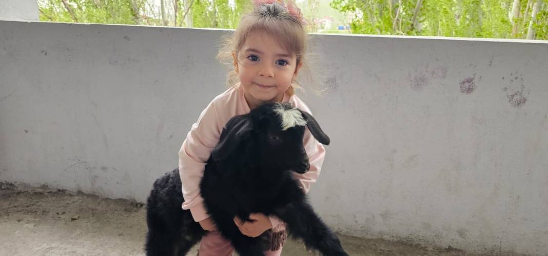 Balkondaki davetsiz misafirler şaşkına çevirdi! 5