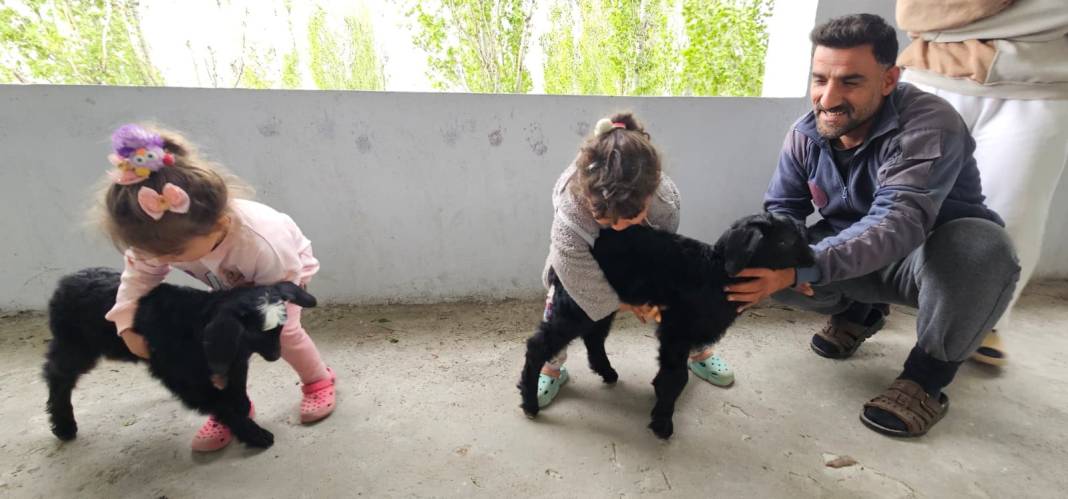 Balkondaki davetsiz misafirler şaşkına çevirdi! 6