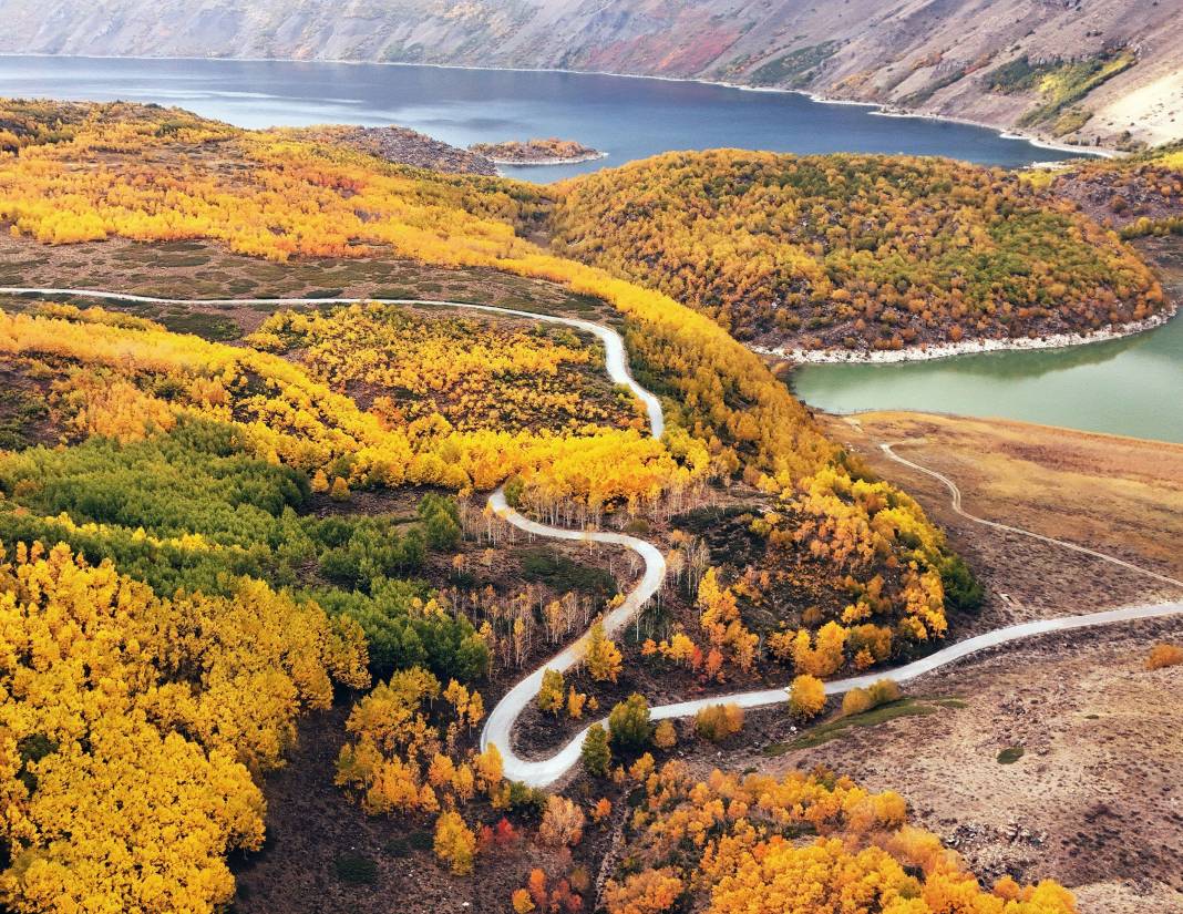 Sonbahar geldi, doğa renk cümbüşüne döndü! 5