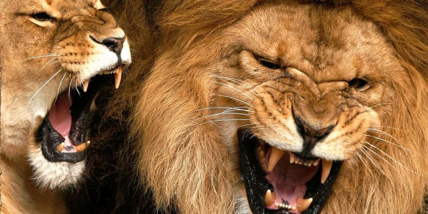 1 saniye sonrasını merak edeceğiniz fotoğraflar