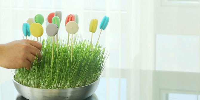 Macaron’a “Fransız” kalmayın!