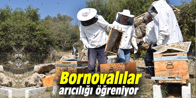 Bornovalılar arıcılığı öğreniyor