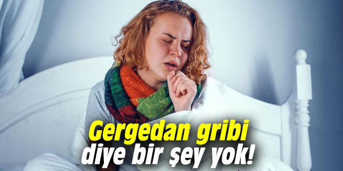 Uzmanı uyardı: Gergedan gribi diye bir şey yok!