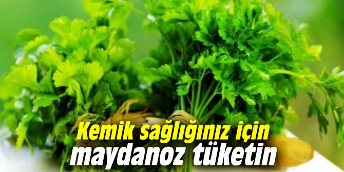 Kemik sağlığınız için maydanoz tüketin