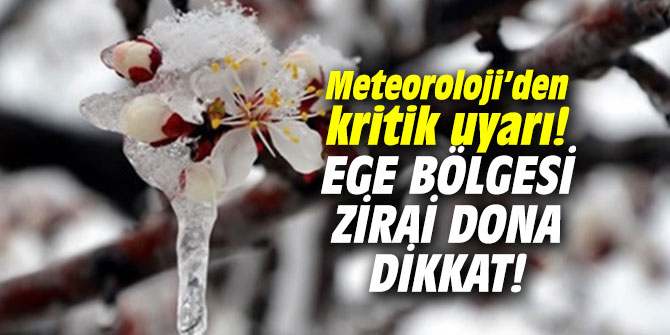 Meteoroloji 'den kritik uyarı! Ege Bölgesi zirai dona dikkat!