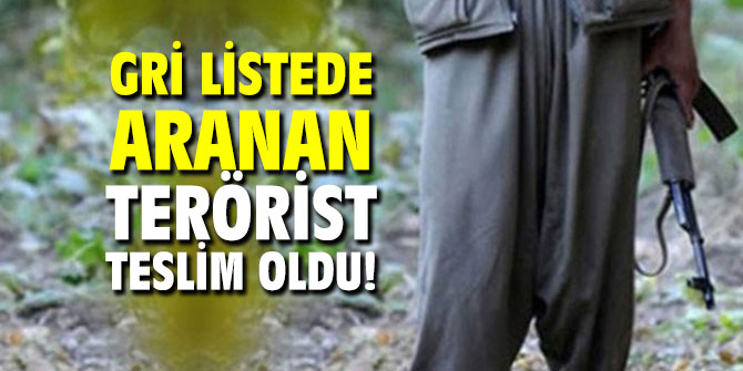 Gri listede aranan terörist teslim oldu!