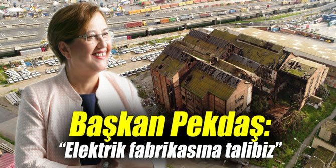 Başkan Pekdaş: "Elektrik fabrikasına talibiz"