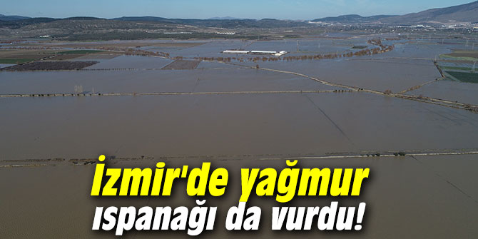 İzmir'de yağmur ıspanağı da vurdu!