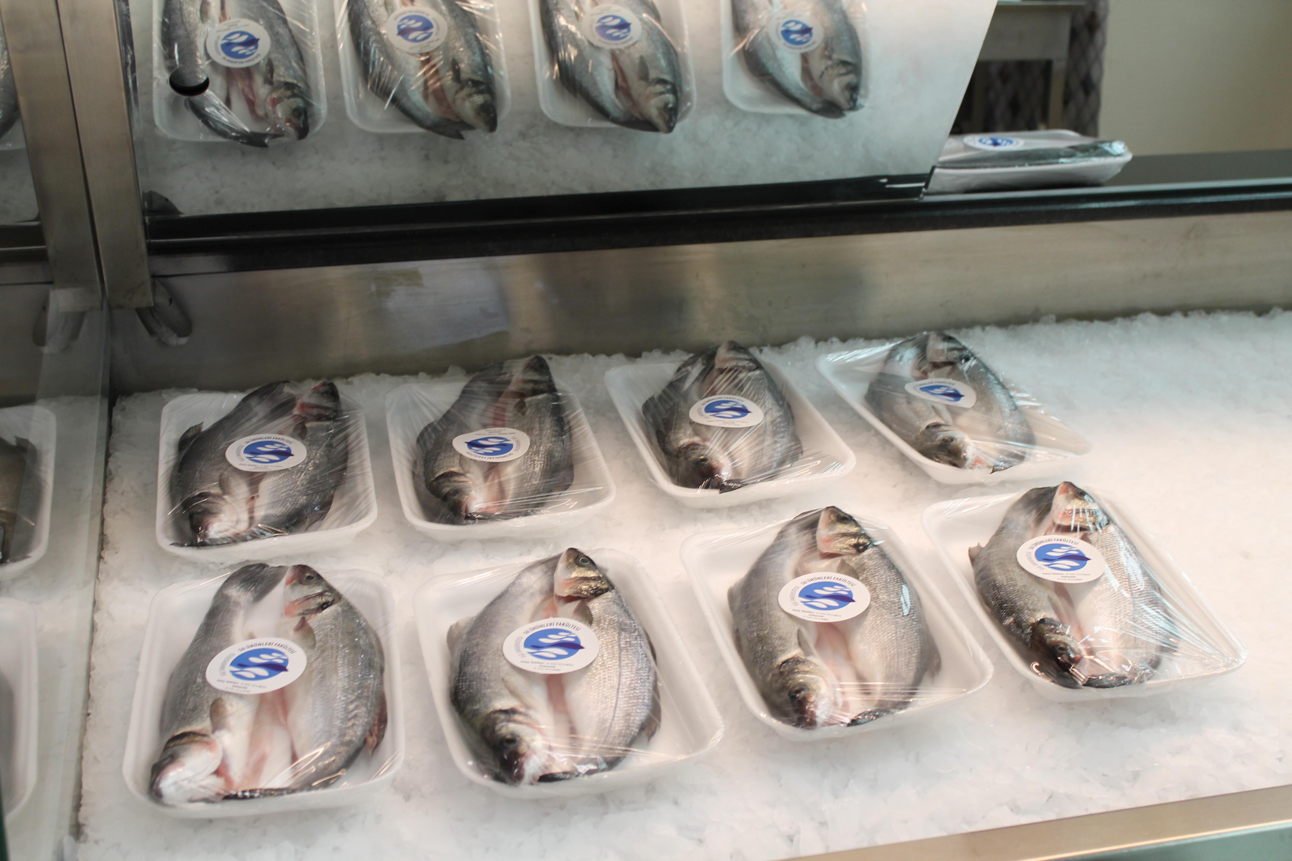 Kaliteli ve hijyenik balık için  güvenilir adres: EÜ Su Ürünleri Fakültesi