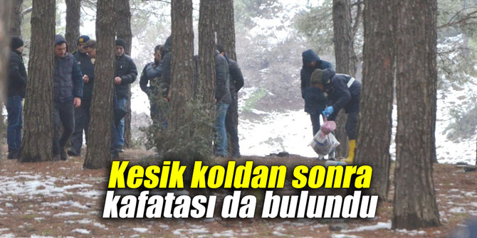 Kesik koldan sonra kafatası da bulundu