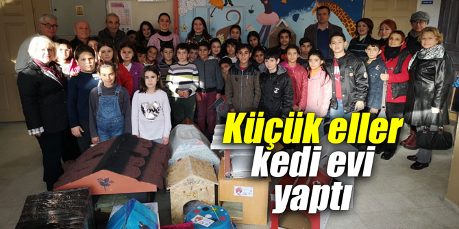 Küçük eller kedi evi yaptı
