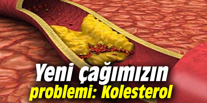 Yeni çağımızın problemi: Kolesterol