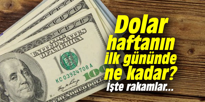 Dolar haftanın ilk gününde ne kadar? İşte rakamlar...