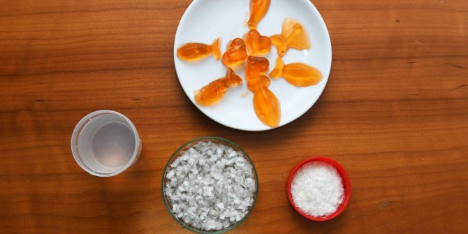 EÜ Su Ürünleri Fakültesi bilimsel projeleriyle sektöre büyük katkı sağlıyor