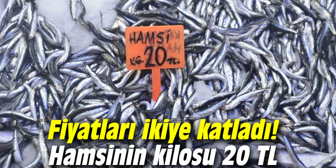 Fiyatları ikiye katladı! Hamsinin kilosu 20 TL