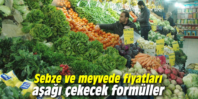 Sebze ve meyvede fiyatları aşağı çekecek formüller