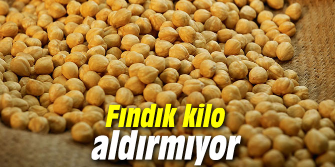 Fındık kilo aldırmıyor