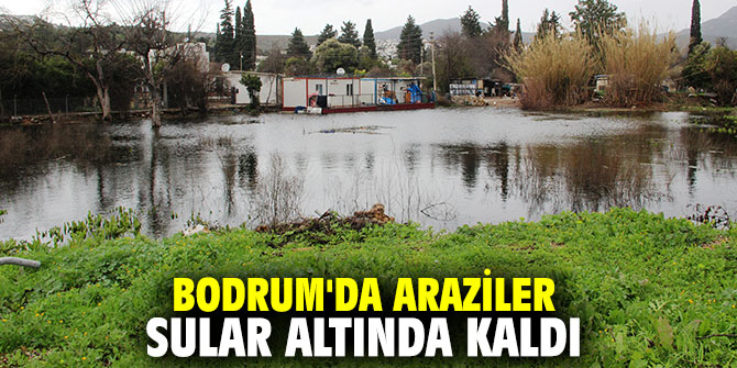 Bodrum'da araziler sular altında kaldı