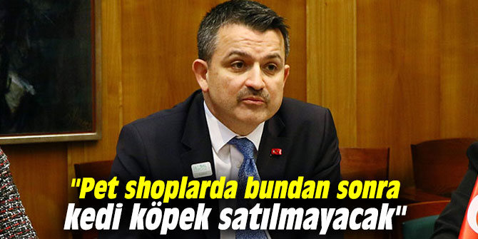 "Pet shoplarda bundan sonra kedi köpek satılmayacak"