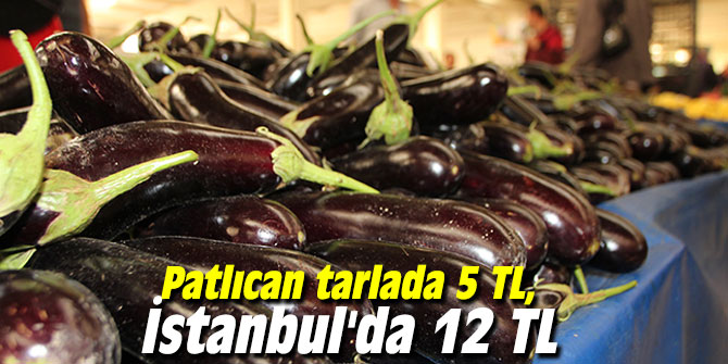 Patlıcan tarlada 5 TL, İstanbul'da 12 TL