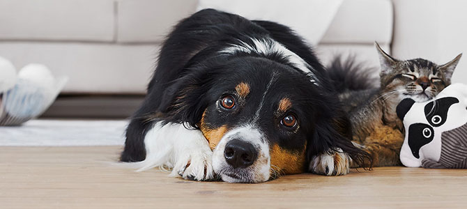 Dikkat! İşte dolandırıcıların yeni hedefi...