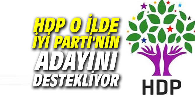 HDP o ilde İyi Parti'nin adayını destekliyor
