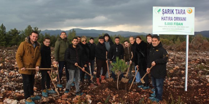Şarık Tara fidanlarda yaşayacak…